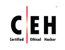 logo CEH v11