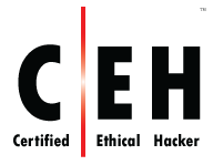logo CEH certified Ethical Hacker v11
